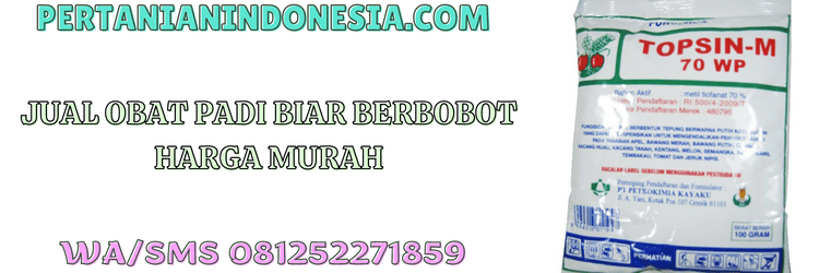 jual,murah,jual obat padi,jual obat padi biar berbobot,jual obat padi biar berbobot murah